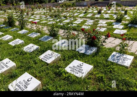 Afyon, Dumlupınar, Türkiye 30 Haziran 2023;Victory Monuments and cemetery in Dumlupinar.The Battle of Dumlupinar was the last battle in the Greco-Turk Stock Photo