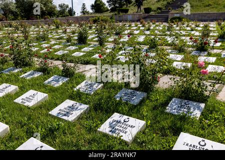 Afyon, Dumlupınar, Türkiye 30 Haziran 2023;Victory Monuments and cemetery in Dumlupinar.The Battle of Dumlupinar was the last battle in the Greco-Turk Stock Photo