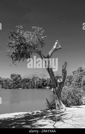 Floyd Lamb Park Tule Springs Rd Las Vegas Nevada USA Stock Photo