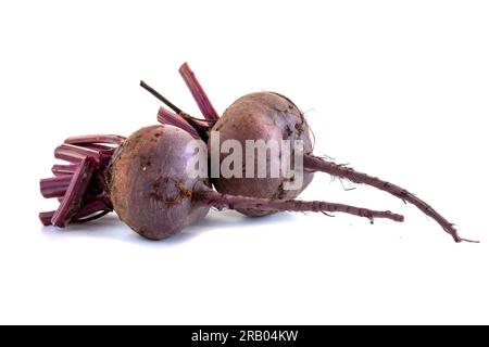 Red beetroot isolated on white. Stock Photo