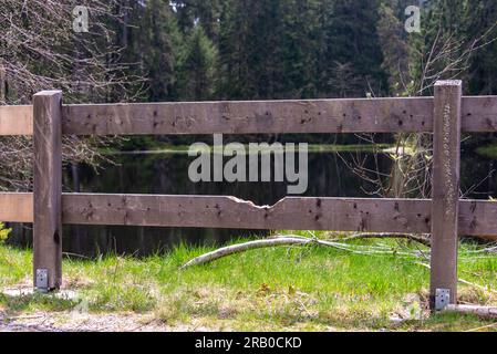 Wooden fence with beaver bite marks near a lake in the Bavarian Forest region. Since being protected beavers are coming back in Eastern Bavaria. Stock Photo