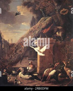 Peacocks and Ducks 1680 by Melchior d'Hondecoeter Stock Photo