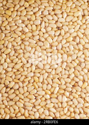 Pine nuts close-up in full screen. Surface made of peeled pine nut kernels. Stock Photo