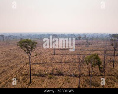 Aerial view of illegal deforestation in Amazon rainforest. Forest trees destroyed to open land for cattle and agriculture. Mato Grosso, Brazil. Stock Photo