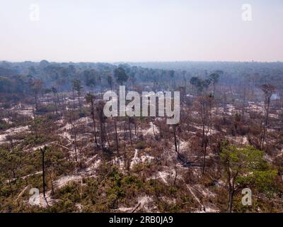 Trees on fire with smoke in illegal deforestation in the Amazon Rainforest to open land for agriculture and cattle. Concept of co2, environment, ecolo Stock Photo
