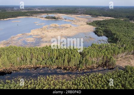 Europe, Poland, Lublin Voivodeship, Lasy Janowskie / Janow Forests Landscape Park, Imielity Lug nature reserve, Staw Imielity Lug Stock Photo