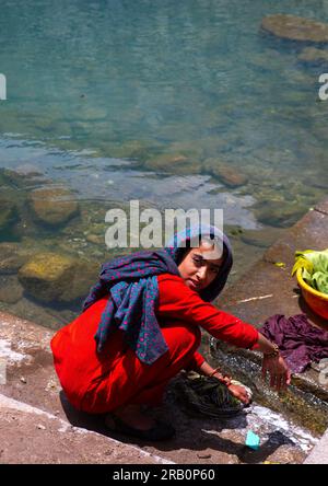 Indian woman washing clothes in a pond, Jammu and Kashmir, Kangan, India Stock Photo