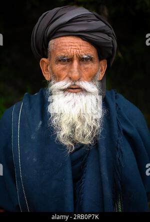 A Character Portrait of a old bearded man Stock Photo - Alamy