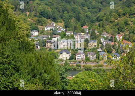 Germany, Baden-Wuerttemberg, Heidelberg, villas on the north bank of the Neckar. Stock Photo