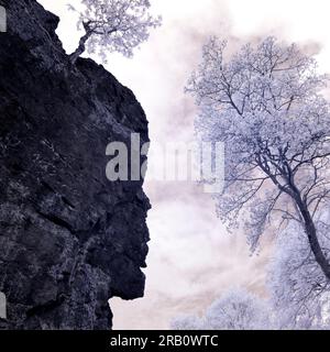 Europe, Germany, Hesse, Central Hesse, Lahn-Dill-Bergland Nature Park, Schelder Wald Nature Reserve, Westerwald-Lahn-Taunus Geopark, 'Wilhelmsteine' rock group near Siegbach, tree on rock, 'Großer Stein' (large stone) Stock Photo