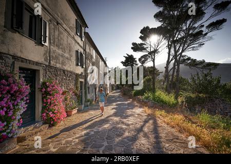 Stroller in old town alley, pine tree shaded, bougainvillea, Capraia island, Tuscany, Italy Stock Photo