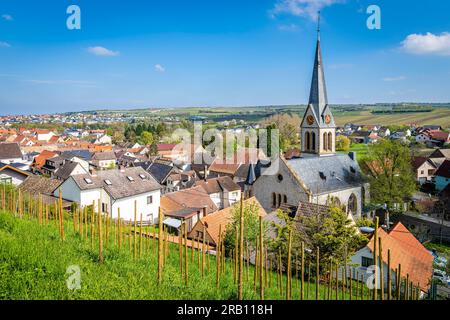 Schwabsburg in Rheinhessen, view from the castle of the same name to the town Stock Photo