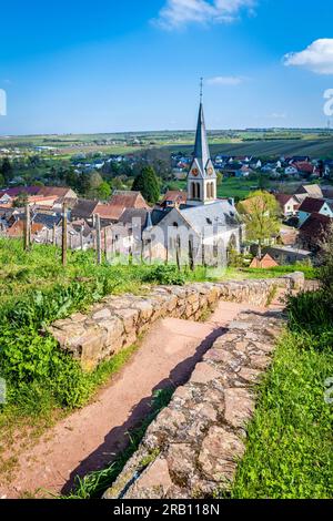 Schwabsburg in Rheinhessen, view from the castle of the same name to the town Stock Photo