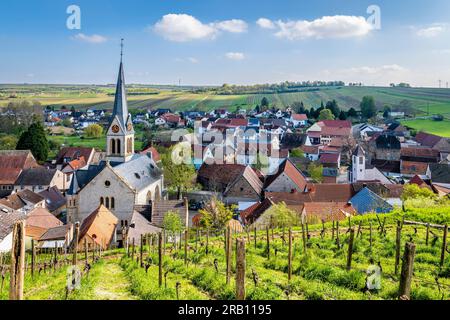 Schwabsburg in Rheinhessen, view from the castle of the same name to the town Stock Photo