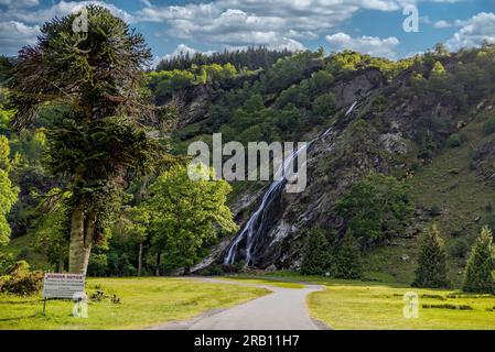 Torc Waterfall is a waterfall at the foot of Torc Mountain, Killarney in County Kerry in Ireland Stock Photo