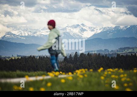 Boy picking flowers on dandelion meadow Stock Photo