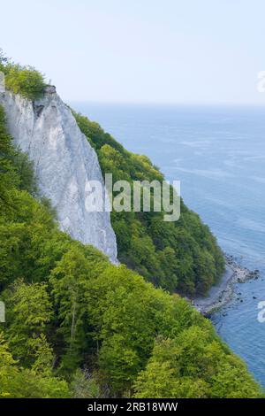 Königsstuhl, chalk cliffs and spring green beech forest, sea view, Jasmund National Park, Rügen Island, Germany, Mecklenburg-Vorpommern Stock Photo