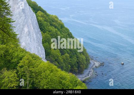 Königsstuhl, chalk cliffs and spring green beech forest, sea view, Jasmund National Park, Rügen Island, Germany, Mecklenburg-Vorpommern Stock Photo