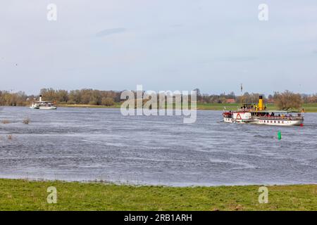 The paddle steamer Kaiser Wilhelm and the Dresden together on the Elbe near Bleckede Stock Photo