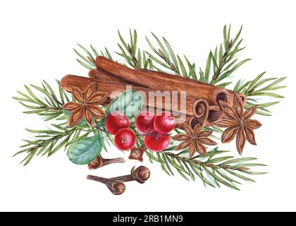 Cowberries, cinnamons, pine needles, spruce branch, cloves isolated on white background. Watercolor illustration of spices and berries. For the design Stock Photo