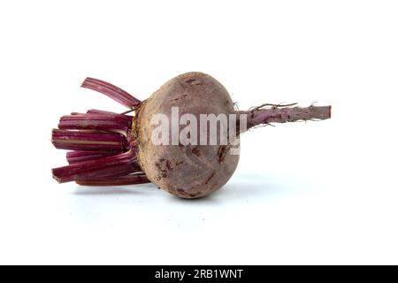 Red beetroot isolated on white. Stock Photo
