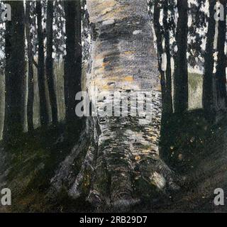 Birch in a Forest 1903 by Gustav Klimt Stock Photo