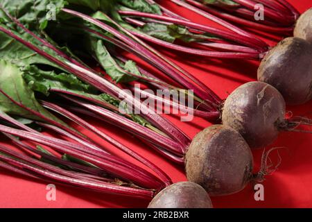 Fresh beetroots with leaves on red background Stock Photo