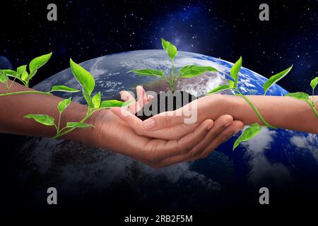 Make Earth green. Man and woman holding soil with seedling, closeup view of their hands tied with creeping plant. Globe in space on background Stock Photo
