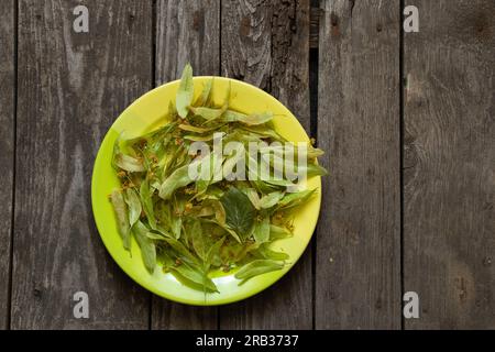 linden flowers in plates on old wooden table Stock Photo