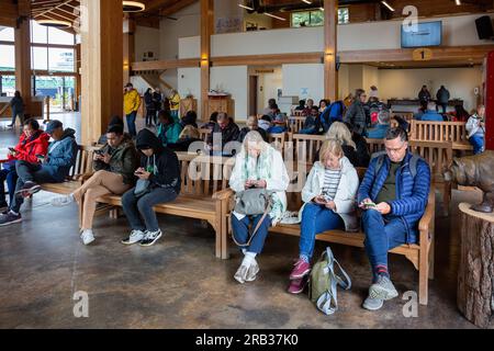 When you find the strongest wifi point after leaving the cruiseship. A group of people using their phones together. Stock Photo