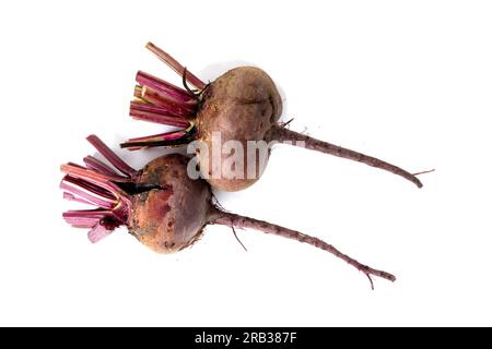 Red beetroot isolated on white. Stock Photo
