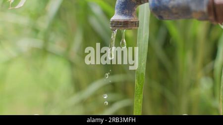 water dripping from the faucet, classical old valve Stock Photo