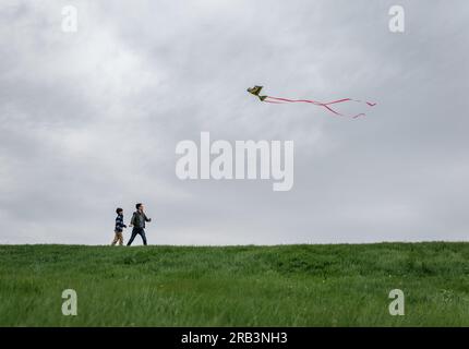 Two brothers flying a kite together on a grassy hill on a cloudy day. Stock Photo