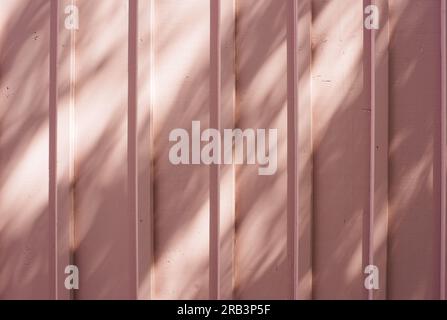 pink painted wooden wall with the reflections and light of a tree Stock Photo