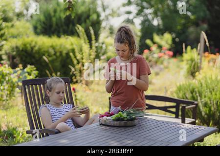 two girls in the summer garden behind the house eating vegetables Stock Photo