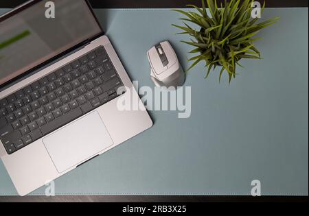 Workspace with laptop, succulent on blue background. Home office. Flat lay, top view Stock Photo