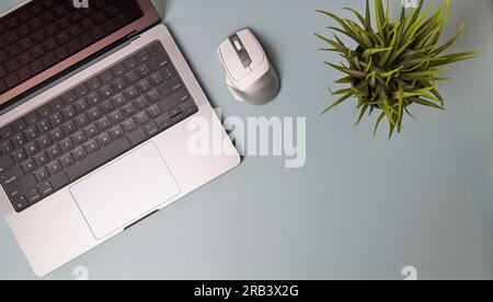 Workspace with laptop, succulent on blue background. Home office. Flat lay, top view Stock Photo