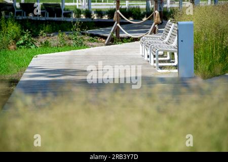 A wooden bench is on a boardwalk with a fence and trees in the background. High quality photo Stock Photo