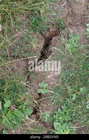 Ruislip, UK. 6th July, 2023. Cracks in the ground near to where HS2 are working. The cause of the cracks in the ground may or may not relate to weather conditions. Credit: Maureen McLean/Alamy Live News Stock Photo