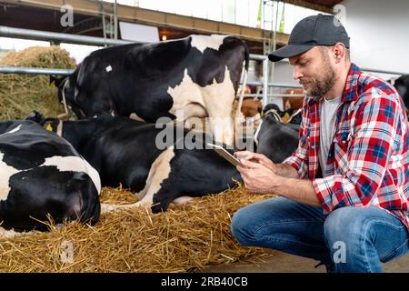 Digital and wireless technology in livestock and milk farms. The farmer man uses a digital tablet in animal husbandry. Stock Photo