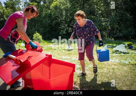 DRONTEN - In the Wilhelminabos, the clearing of the glass shards of the broken monument for deceased cancer patients in Dronten is started. The monument, which consisted of 67 glass panels bearing the names of the deceased, was probably destroyed with a hammer. ANP JEROEN JUMELET netherlands out - belgium out Stock Photo