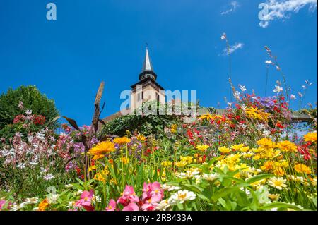 Tower of Catholic Church of Holy Trinity. In foreground planting of colorful wildflowers, Lauterbourg, Alsace, France, Europe Stock Photo