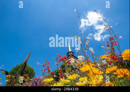 Tower of Catholic Church of Holy Trinity. In foreground planting of colorful wildflowers, Lauterbourg, Alsace, France, Europe Stock Photo