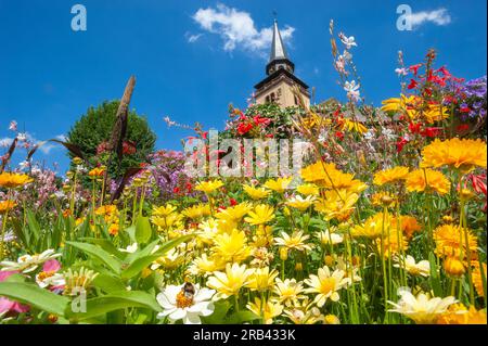 Tower of Catholic Church of Holy Trinity. In foreground planting of colorful wildflowers, Lauterbourg, Alsace, France, Europe Stock Photo