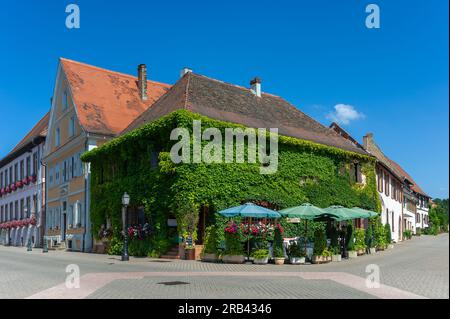 Au Boef inn, whose facade is completely overgrown with ivy, Lauterbourg, Alsace, France, Europe Stock Photo