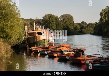 Rowing boats moored near Richmond Bridge on the River Thames at Richmond-Upon-Thames, London, England, UK Stock Photo