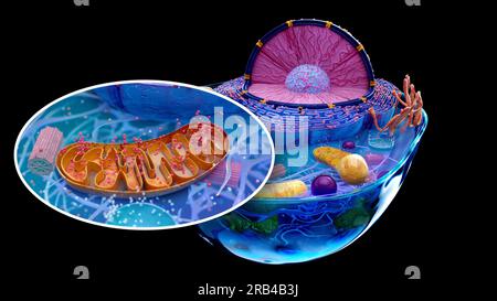 4K abstract illustration of the biological cell and the mitochondria Stock Photo