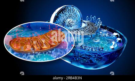 4K abstract illustration of the biological cell and the mitochondria Stock Photo