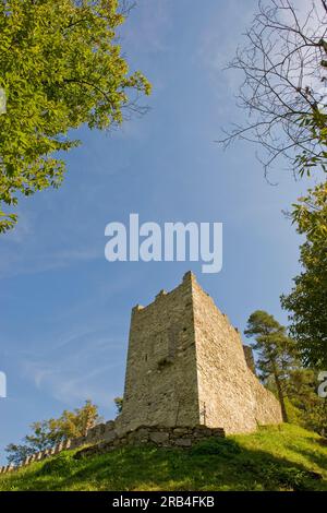 Italy, Lombardy, Valtellina, Tovo Sant'Agata, apple harvest Stock Photo ...