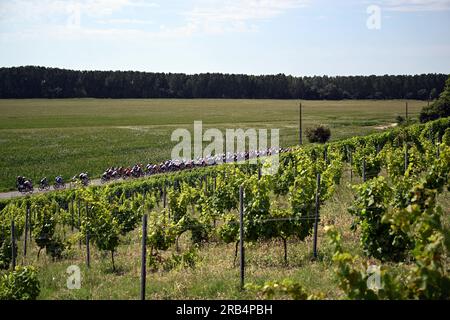 Bordeaux, France. 07th July, 2023. The pack of riders pictured in action during stage 7 of the Tour de France cycling race, a 169, 9 km race from Mont-de-Marsan to Bordeaux, France, Friday 07 July 2023. This year's Tour de France takes place from 01 to 23 July 2023. BELGA PHOTO JASPER JACOBS Credit: Belga News Agency/Alamy Live News Stock Photo